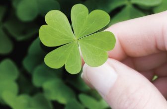 Sázkový systém Lucky 15 vám za 15 korun může vydělat 100 000!