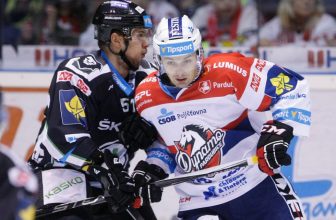 Pardubice se zvedají ze dna tabulky, posvítí si na hokejisty z Mladé Boleslavi? Pardubice se zvedají ze dna tabulky, posvítí si na hokejisty z Mladé Boleslavi?