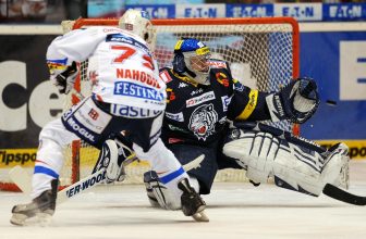 Pardubice vs. Liberec: Perníkáři mají pod branami mlsné Bílé tygry! Pardubice vs. Liberec: Perníkáři mají pod branami mlsné Bílé tygry!