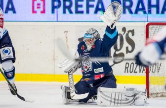 Plzeň vs. Liberec: Tygři se chystají na lov Indiánů! Plzeň vs. Liberec: Tygři se chystají na lov Indiánů!