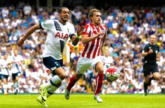 Kohouti na White Hart Lane s Hrnčíři Kohouti na White Hart Lane s Hrnčíři