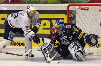 Plzeň vs. Liberec: Tygři před sebou mají nelehký úkol Plzeň vs. Liberec: Tygři před sebou mají nelehký úkol