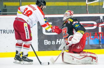 Olomouc vs. Mountfield: Prolomí Hanáci svoje prokletí? Olomouc vs. Mountfield: Prolomí Hanáci svoje prokletí?