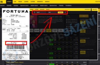 Fortuna kontrola tiketu