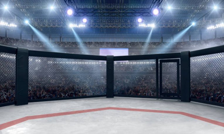 MMA: druh klece, nástup bojovníka – detaily na které si dát pozor