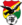 Logo týmu Bolívie