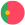 Logo týmu Portugalsko 21