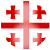 Logo týmu Gruzie 21
