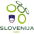 Logo týmu Slovinsko