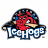 Ikona týmu Rockford IceHogs
